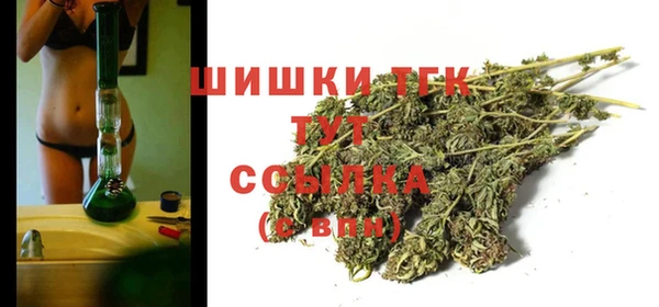 дживик Корсаков