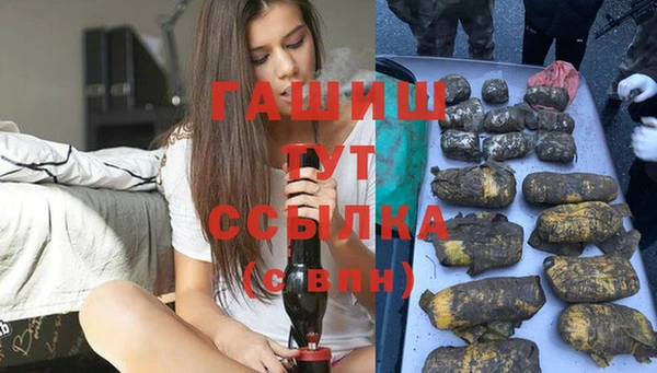 дживик Корсаков