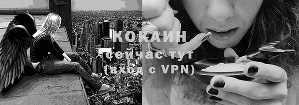 дживик Корсаков