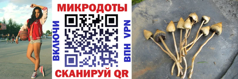 Купить  Заволжск  Галлюциногенные грибы GOLDEN TEACHER 